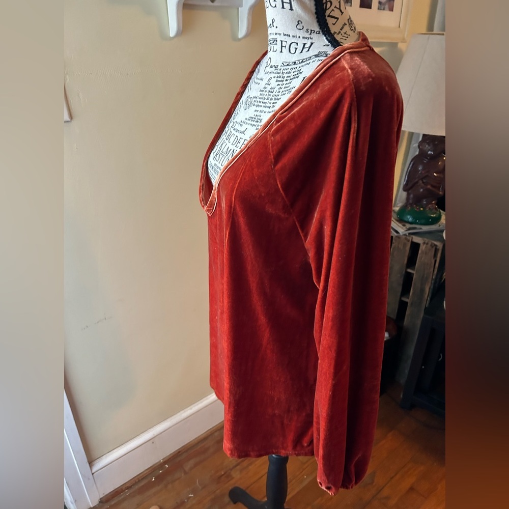 Dylan Rust Velvet Tunic - Picture 6 of 7